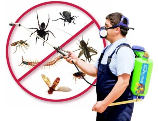 KURINJI PEST CONTROL